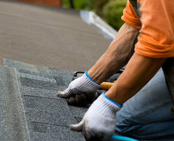 Best Storm Damage Roof Repair  in Bartlett, TN
